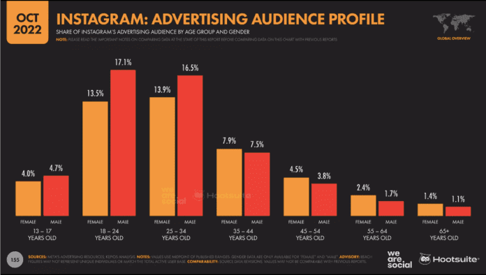 Audience Profile for Instagram Users