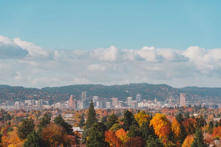 Portland Digital Marketing Agency